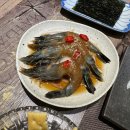카메참치 이미지