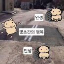 선샤인약국 이미지