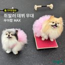 독핏 - 강남구 삼성로133길 7 | 독핏