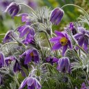 녹동해물탕 이미지