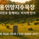 양지-3549 이미지