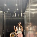 빼빼롱꼬마김밥 | 3세 아이랑 시드니 여행 : 페더데일 동물원 오픈런 후기 &amp; 패디스 마켓에서 기념품 사고 느긋하게...