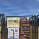 뛰뛰 강아지 놀이터 | 강아지 뛰뛰하기 딱 좋은 나주반려견놀이터 다녀왔어요🐾