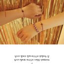오색인견 이미지