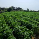 홍성공인중개사사무소 이미지