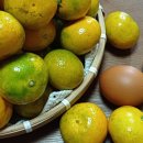 그린주공세탁소 이미지