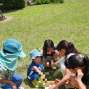 배나무실의 아침 이미지