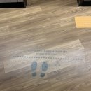 로비펫 | 경주 키녹 펫호텔 1박 후기 경주 애견동반 호텔 추천