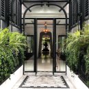 카렌시아 이미지