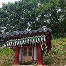 자인백반 이미지