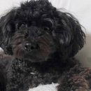 김해동물약국 이미지