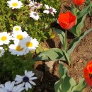 장자대로 이미지