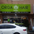 올가드림헤어 | 수원매탄동 탈모관리 올가드림헤어에서 두피케어 받았어요
