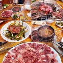 [블랙야크100-치악산] 2017/5/13(토) 봄산행 후 소고기 맛집 탐방하러 함께해요^^ 이미지