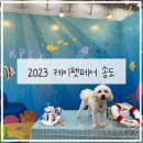 2023 케이펫페어 송도 방문 후기_롯데마트송도점 애견 동반