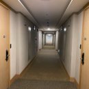 제주하나리조트 | 소노캄 제주 리조트 스위트 숙박후기 – 오션뷰 스위트룸 첫 경험!