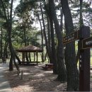 대송면 홍계숲 이미지