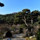 안국사지 이미지