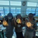 초등 캘리그라피 이미지