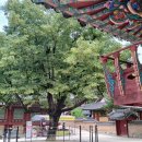 장성시내길 이미지