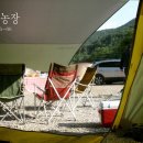 지우농장 이미지