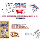 나래덴탈 | 덴탈 플라그 플러스 캣 - 고양이 치아건강을 위한 고기능성 간식, 집사와 냥이의 양치질 전쟁을...