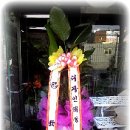 크리스탈모텔 이미지