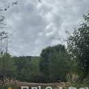 물맑음수목원 목재문화체험장 | 남양주 아기와 가볼만한 곳 “물맑음수목원” 2탄 ! 반딧불이 숲문화센터🌳