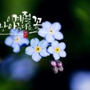 아름다운수채캘리 이미지