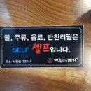 제주부리는돼지