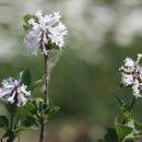 종수 농장 이미지