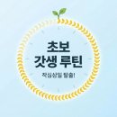 작심삼일 이미지