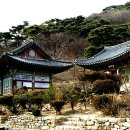 송학사 이미지