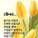 오늘의 운세 ㅡ비승비속 (非僧非俗) 이미지