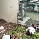 가송농장 이미지