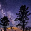 CW-1861-01 이미지