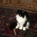 들꽃하우스 이미지