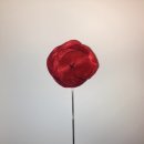 부토니끄 이미지