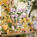 서탄로 | 꿈의 미술관 돌잔치 당일계약 후기 🧸 (가격 할인방법 견적 공유 +캐시백)