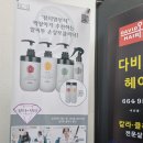 다비드헤어 이미지