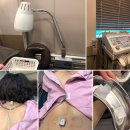 경희온담한의원 이미지