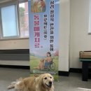 오산중증장애인센터 | [오산 동물매개치료] 중증장애인을 위한 동물매개치료, 그 놀라운 변화와 효과