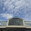 하늘다음태백친환경산양목장 | 강원도 태백 가볼만한 곳 몽토랑 산양목장 목장체험 제빵소 카페