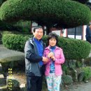 쌍림초등학교 이미지