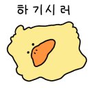 앨리스케이커리&카페