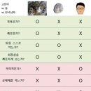 고양이 vs 돌 vs 한국남자 이미지