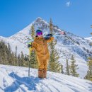 S4CrossFit 이미지