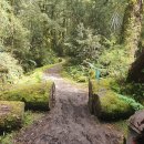 뉴질랜드 밀포드트렉 - 루트번트렉 및 마운트쿡 트레킹(12일) 이미지