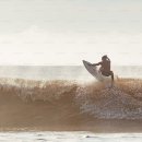 신성상사 이미지