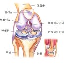 십자의원 이미지